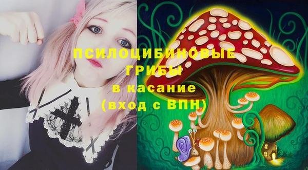 эйфоретик Михайлов